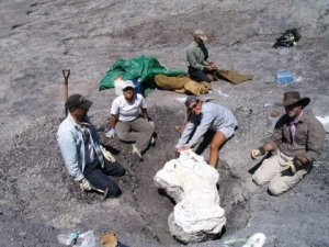 That's a phytosaur in there, if anyone gives a shit.