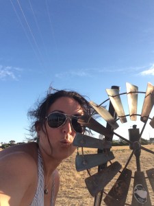 Dunno. Think I was loopy from Outback Sunstroke...