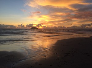 Look! A totally normal holiday snap!